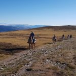 rando cheval auvergne