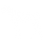 Buy the horse of your dreams