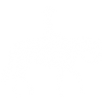 Take a training course