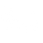 randonnées équestres en auvergne