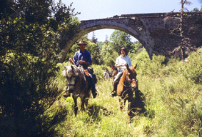 horse riding in auvergne