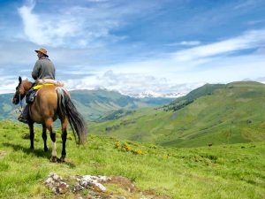randonnée à cheval dans le massif central