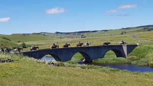 circuit équestre dans l'aubrac - randonnée à cheval dans l'aubrac à nasbinals