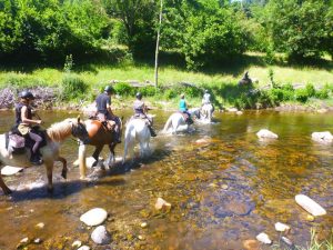 randonnée à cheval dans le haut allier randonnée équestre