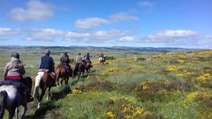 randonnée haute margeride à cheval circuit équestre
